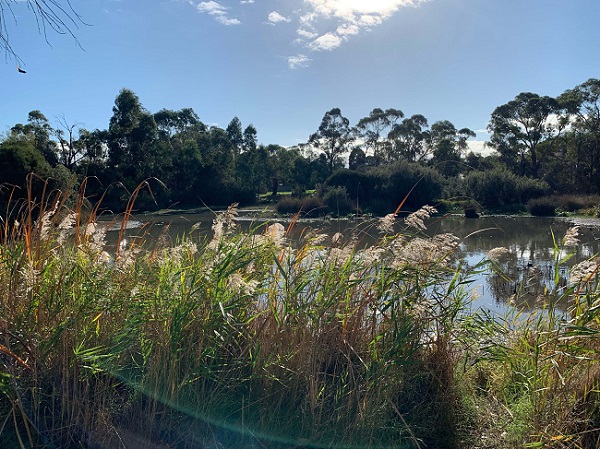 Tirhatuan Wetlands